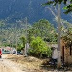 Expedição Piyrhura Pfrimeri 3 - Periquito Guerreiro