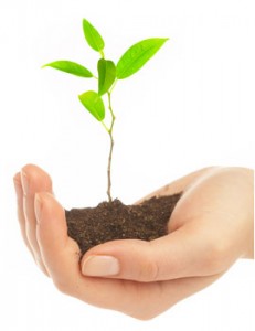 sustentabilidade