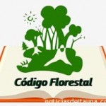 Código Florestal que será votado ameaça 400 mil km2 da região amazônica.