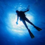 Fundação Pró-Mar busca voluntários para pesquisas no litoral brasileiro.
